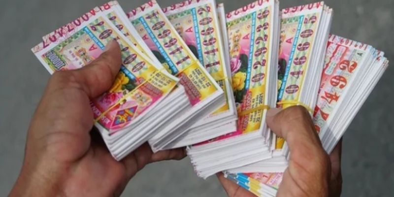 Xem thông tin kết quả để cập nhật chu kỳ số